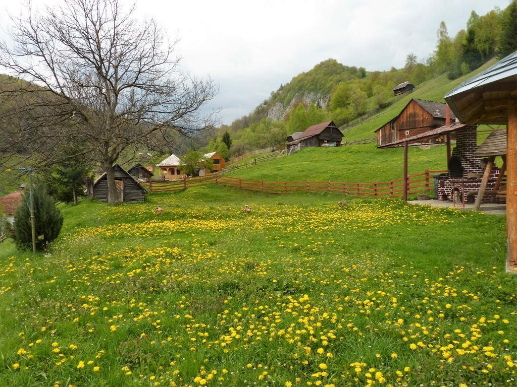 Pensiunea La Ionica Дымбовичоара Экстерьер фото