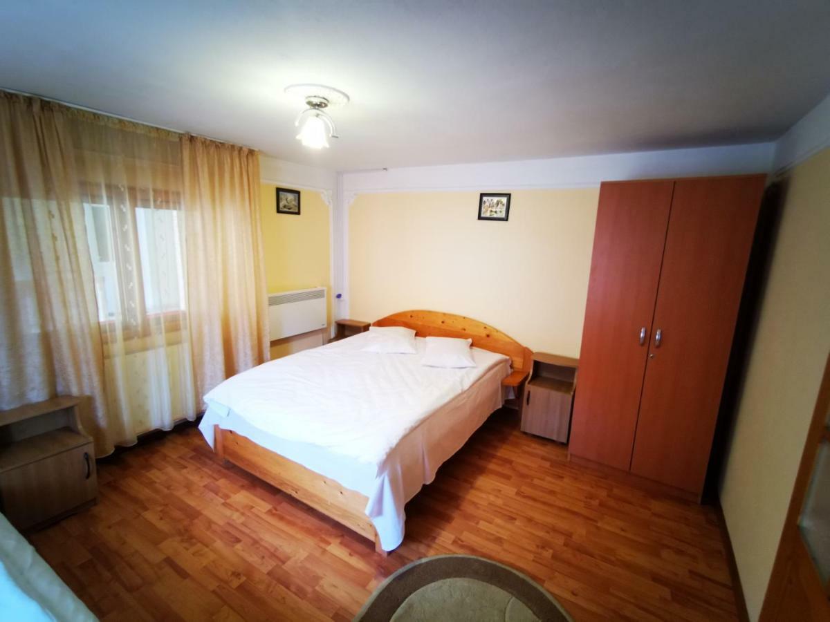Pensiunea La Ionica Дымбовичоара Экстерьер фото